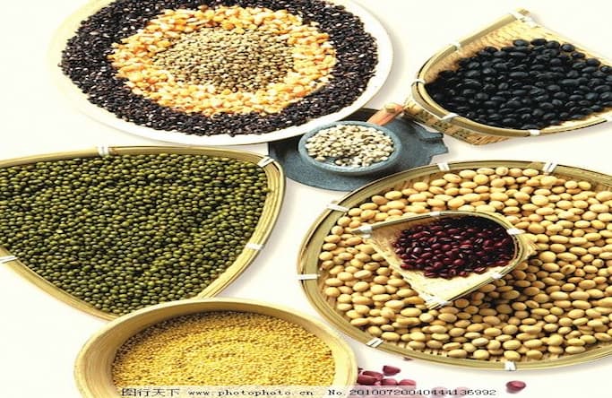 Automated ZD140-2 Twin-Screw Paper Bag Line Launched by Yuanxin